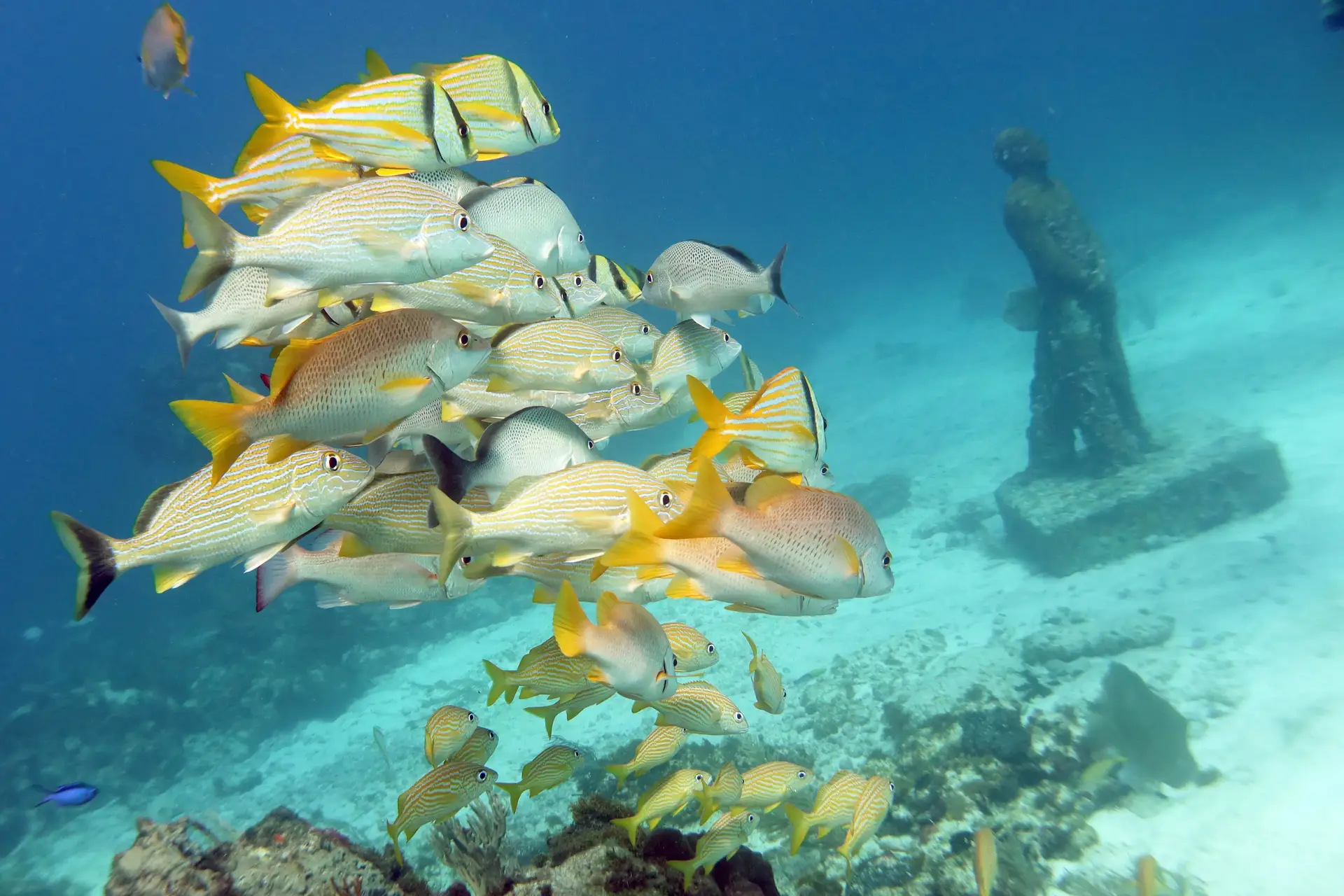 MUSA Underwater Museum sculptures on the seafloor at Isla Mujeres