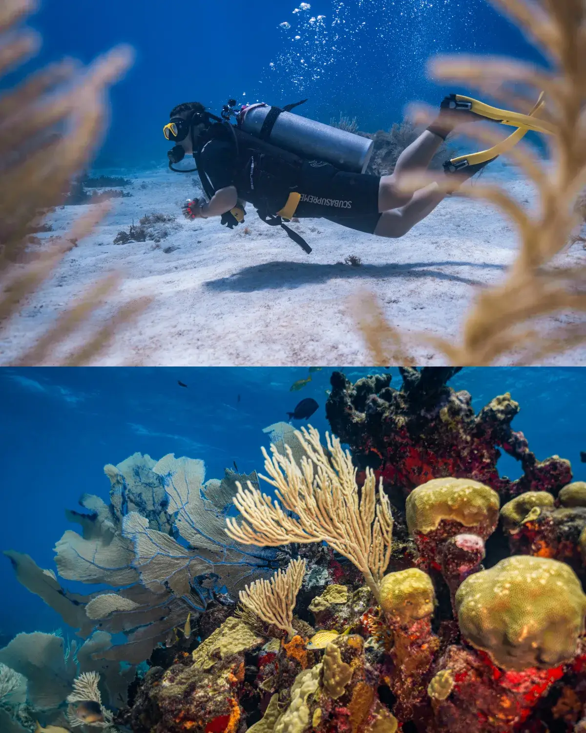 First-time diver exploring the reefs of Isla Mujeres with a PADI instructor