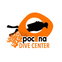 Pocna Dive Center