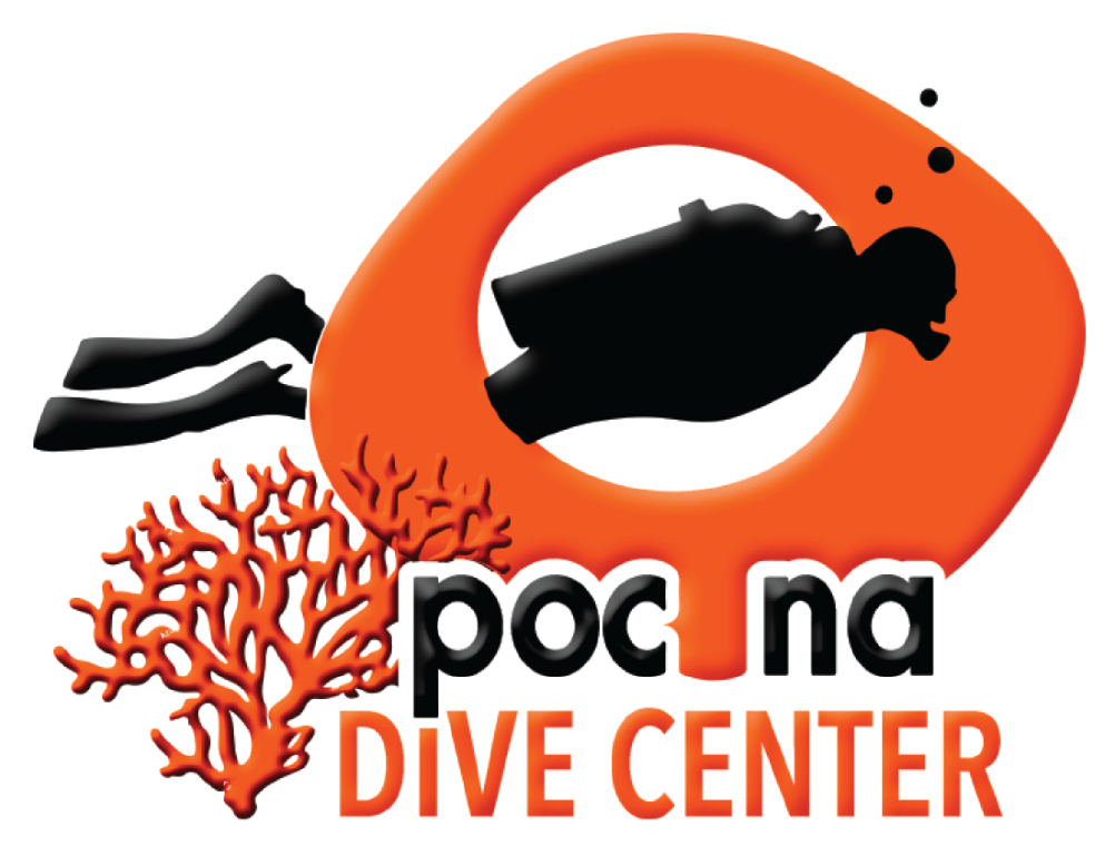 Pocna Dive Center