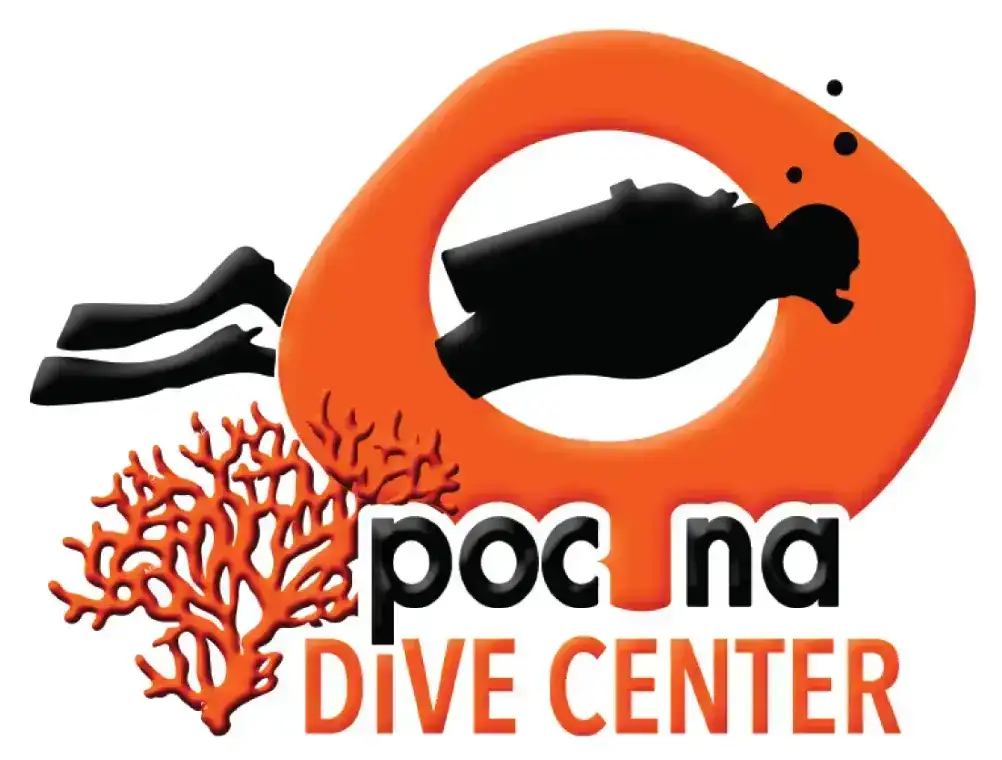 Pocna Dive Center