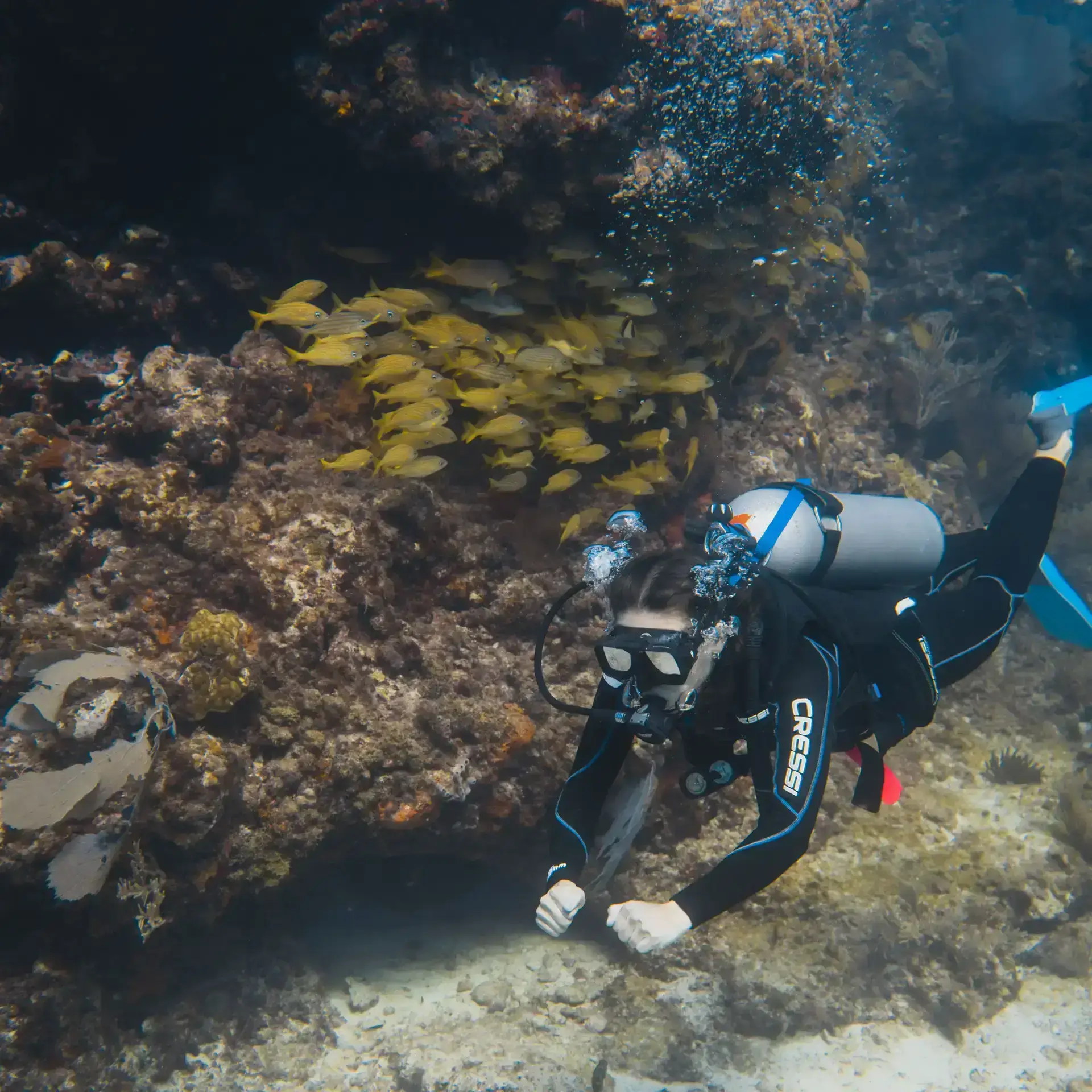 private dive boat isla mujeres