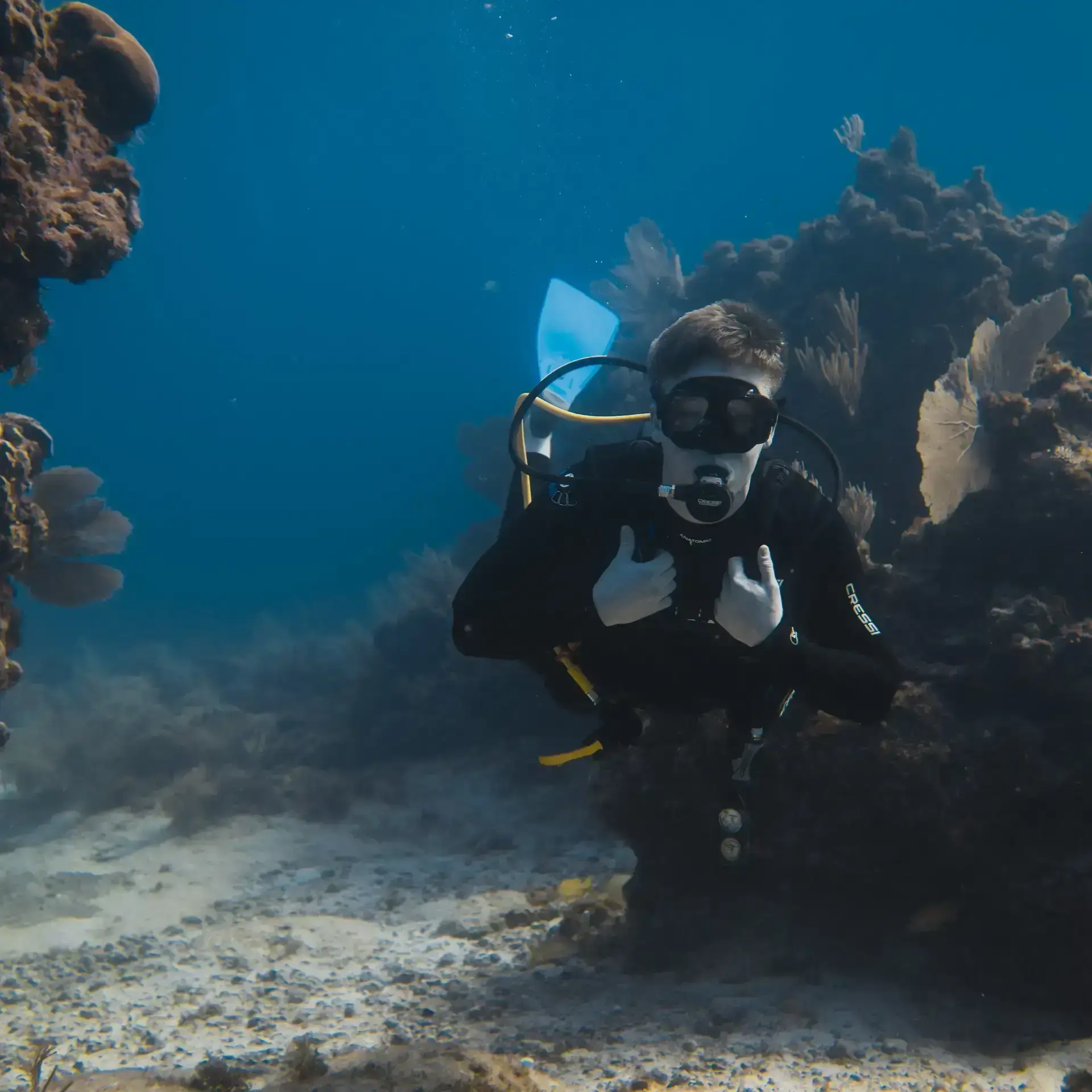 musa diving isla mujeres
