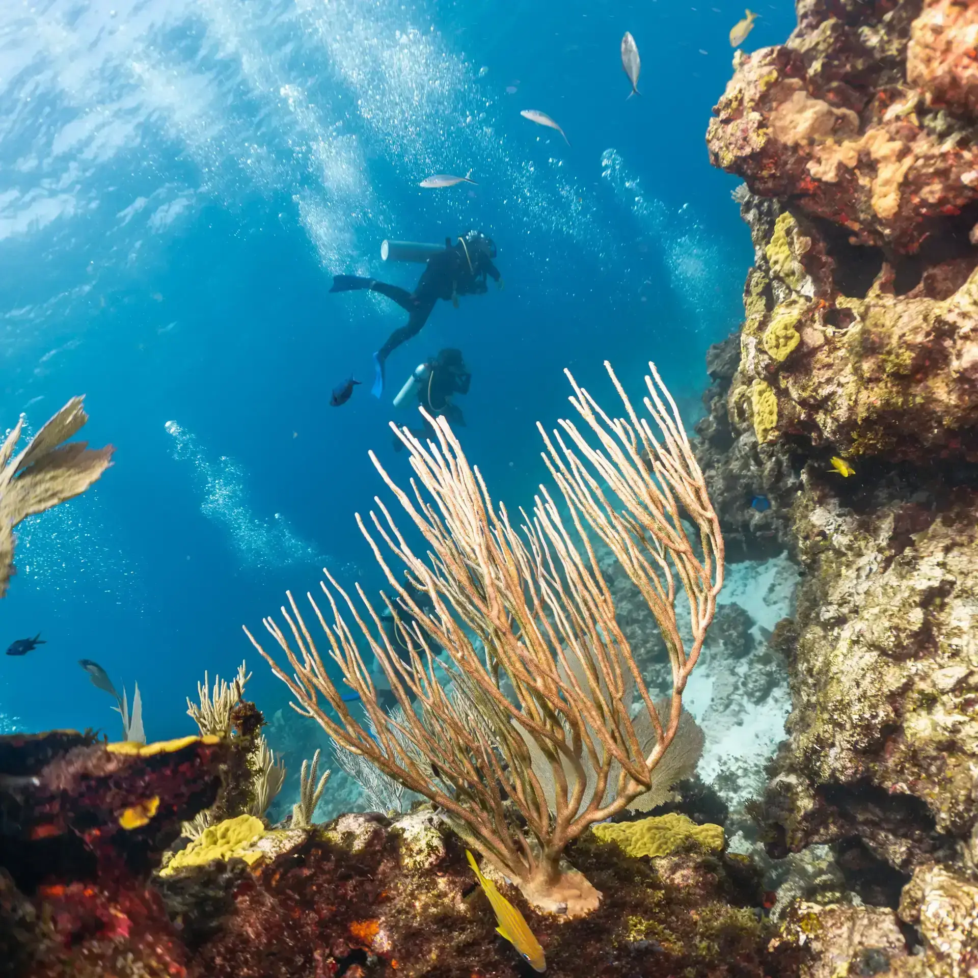 Scuba diver at Pocna Dive Center, Isla Mujeres Mexico
