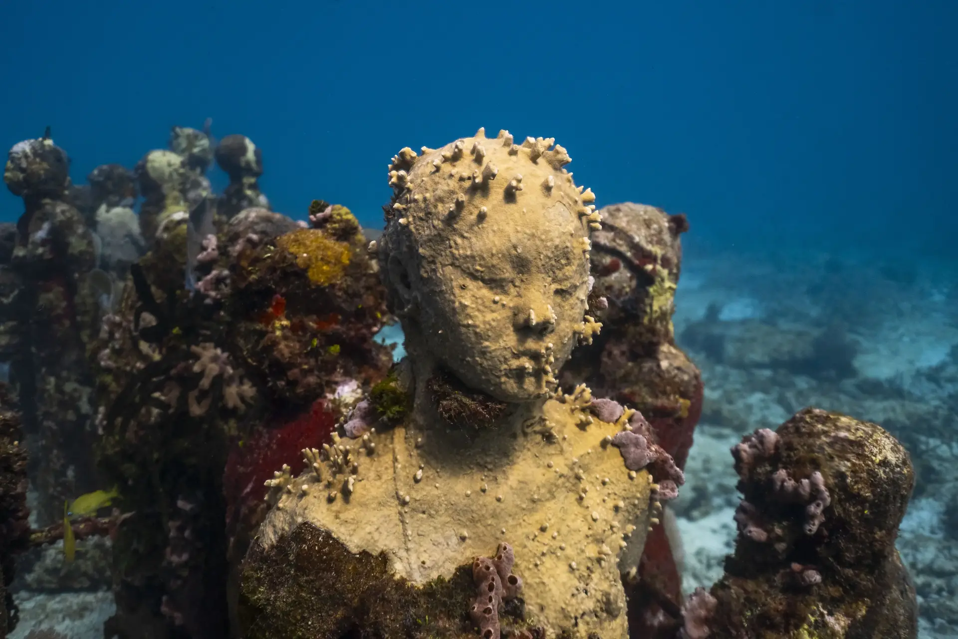 MUSA Underwater Museum Isla Mujeres